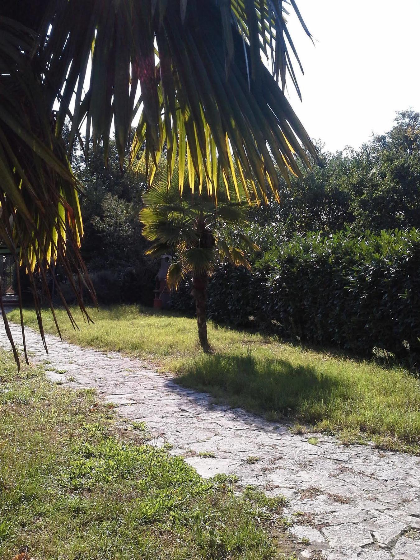 나폴리 I Giardini Di Capodimonte 2 B&B 외부 사진